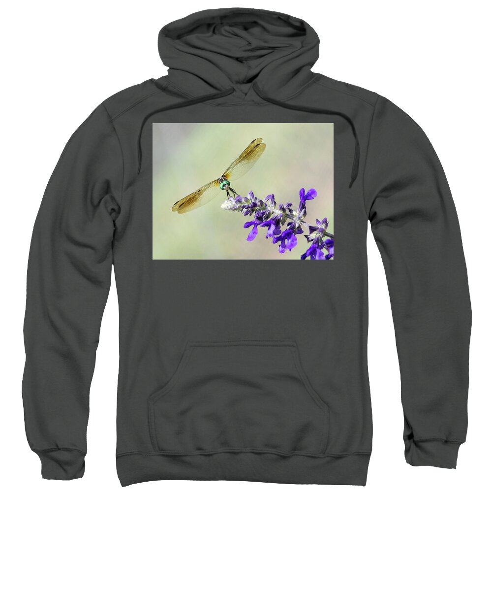 Dragonfly Sweatshirt featuring the photograph Nose to Nose by Alex Lapidus