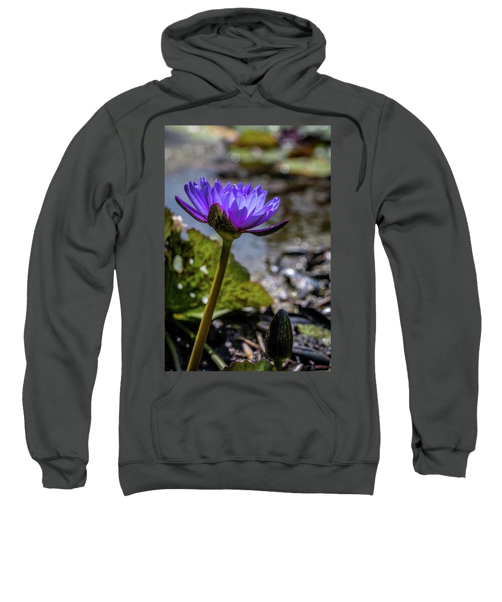Water Sweatshirt featuring the photograph Nymphaea nouchali by Susie Weaver