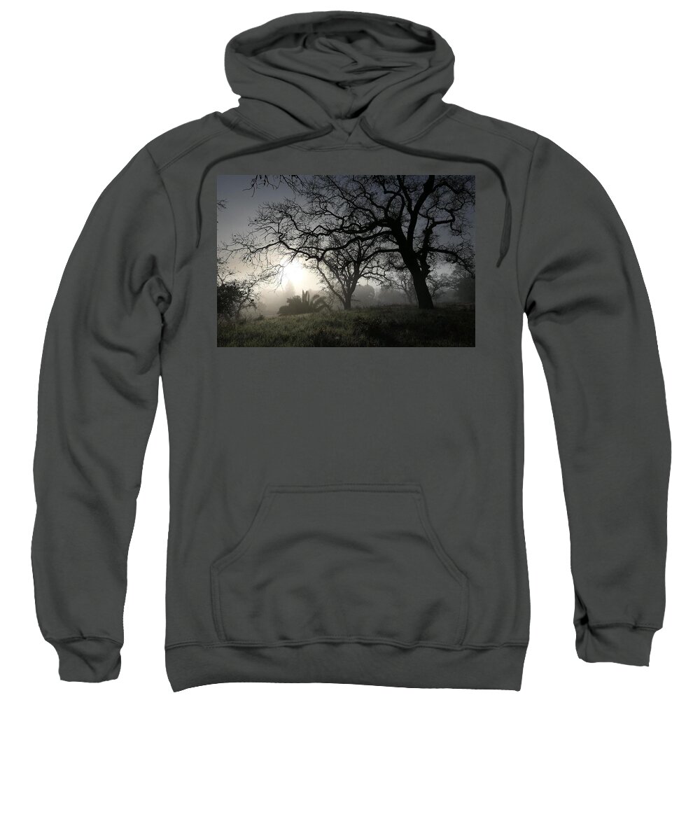 Santa Margarita Island Sweatshirt featuring the photograph Oaks at Santa Margarita Island by John Parulis