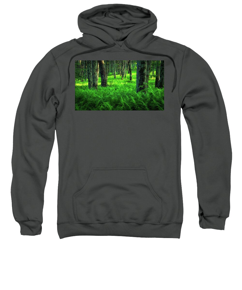 Interrupted Fern Sweatshirt featuring the photograph Once Upon the Magical Woods by C Renee Martin