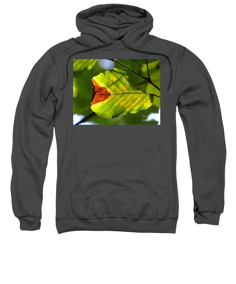 Leaf Sweatshirt featuring the photograph Outstanding leaf by Karin Ravasio