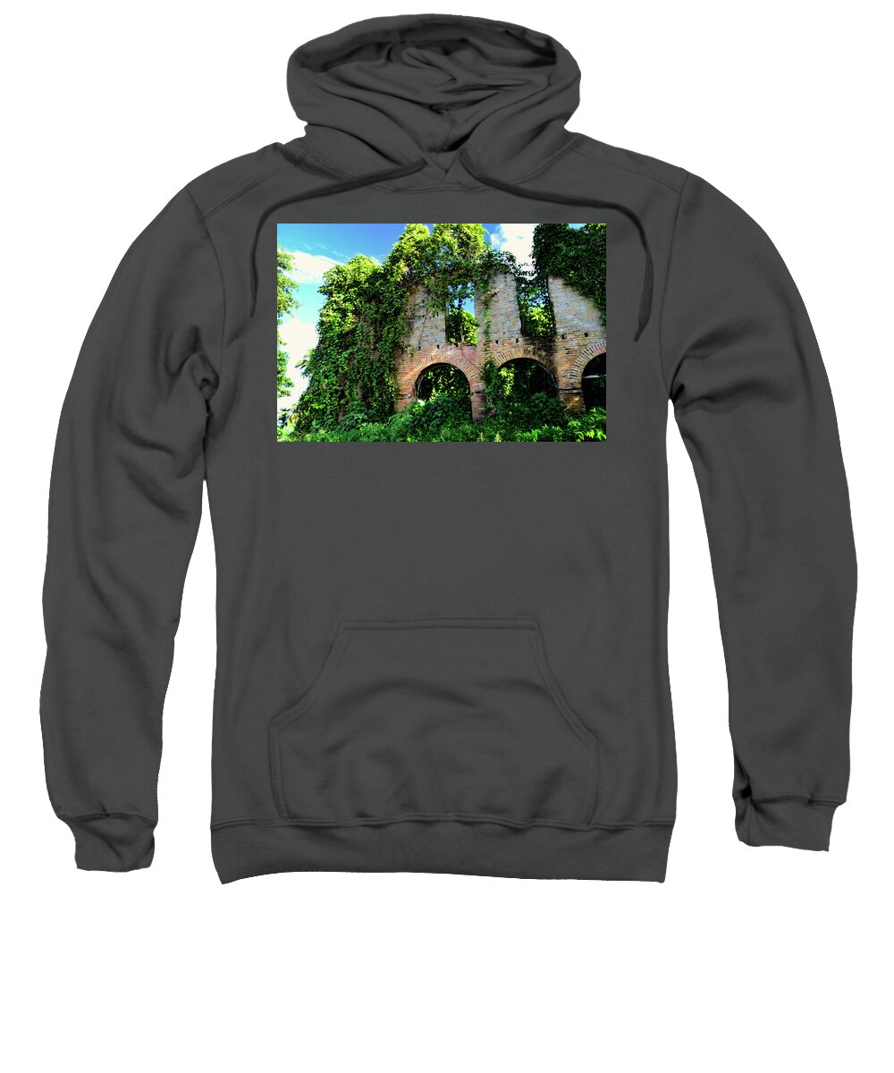 Crumbling Building Sweatshirt featuring the photograph Overgrown by Segura Shaw Photography