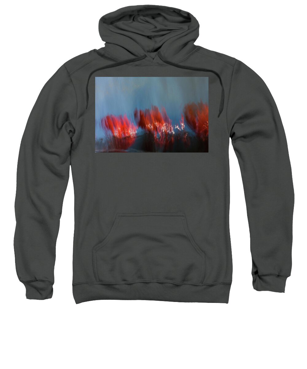  Sweatshirt featuring the photograph Painting fuccia by Mache Del Campo