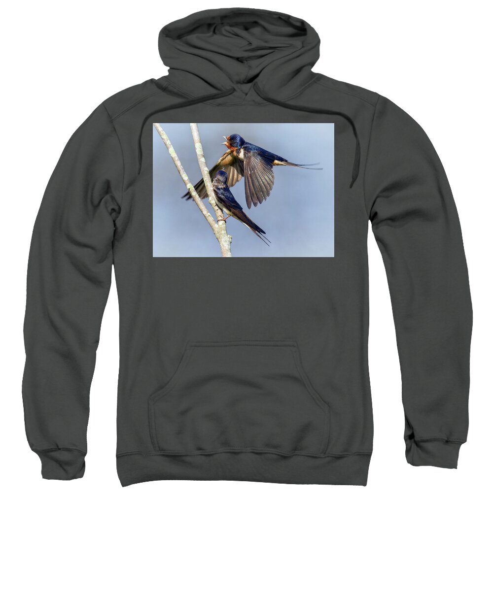 Swallow Sweatshirt featuring the photograph Passing Argument by Art Cole