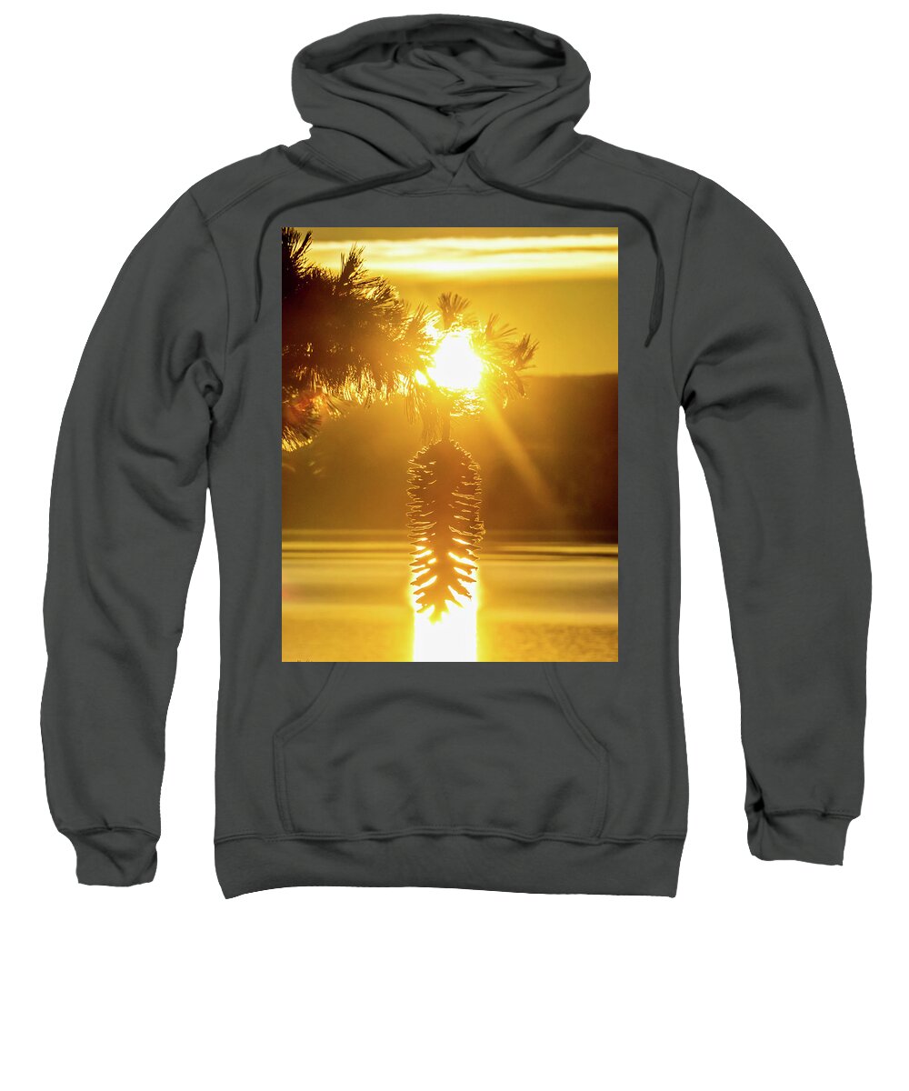 Sun Sweatshirt featuring the photograph Pine cone fire by Martin Gollery