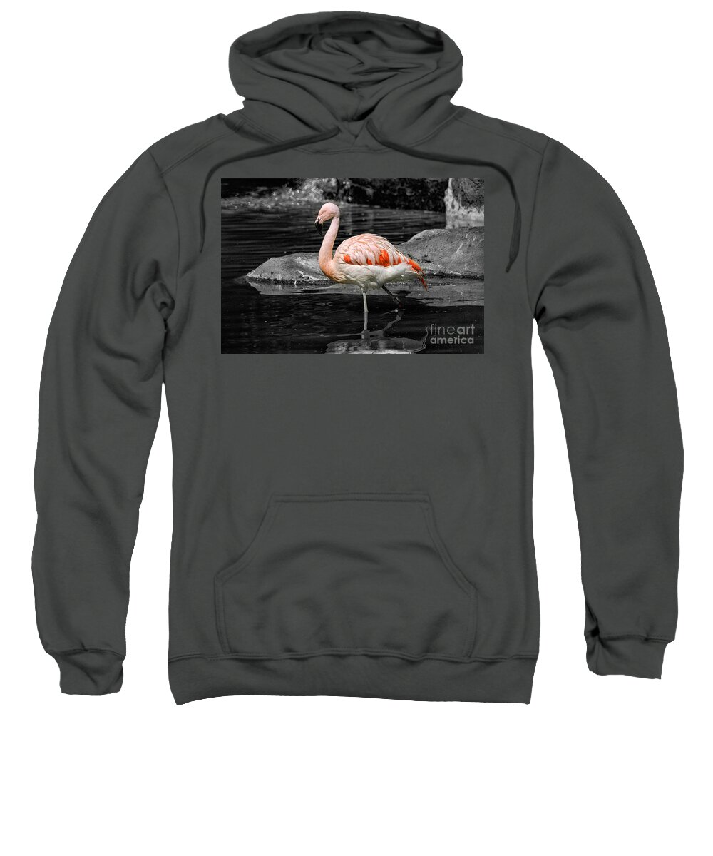 Adaptation Sweatshirt featuring the photograph Pink Flamingo by Bill Frische