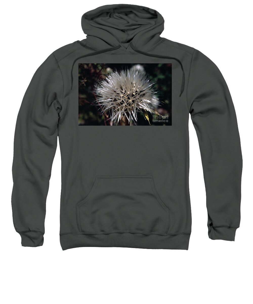 Sweatshirt featuring the photograph Poof by Randy Oberg