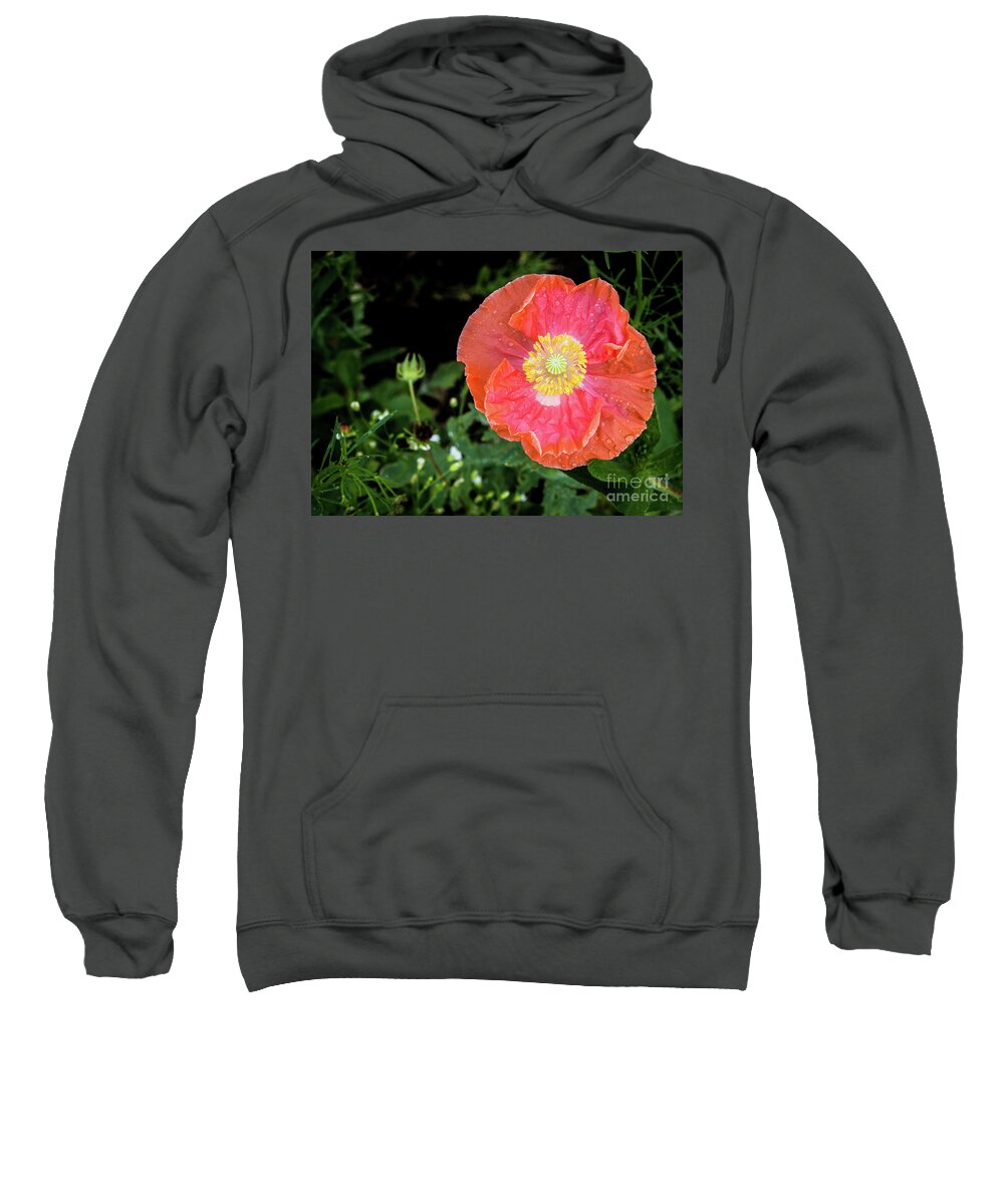 #poppy #coral #flower #spring #summer #petals #yellow #orange #pink #green #wildflowers Sweatshirt featuring the photograph Poppy by Cheryl McClure