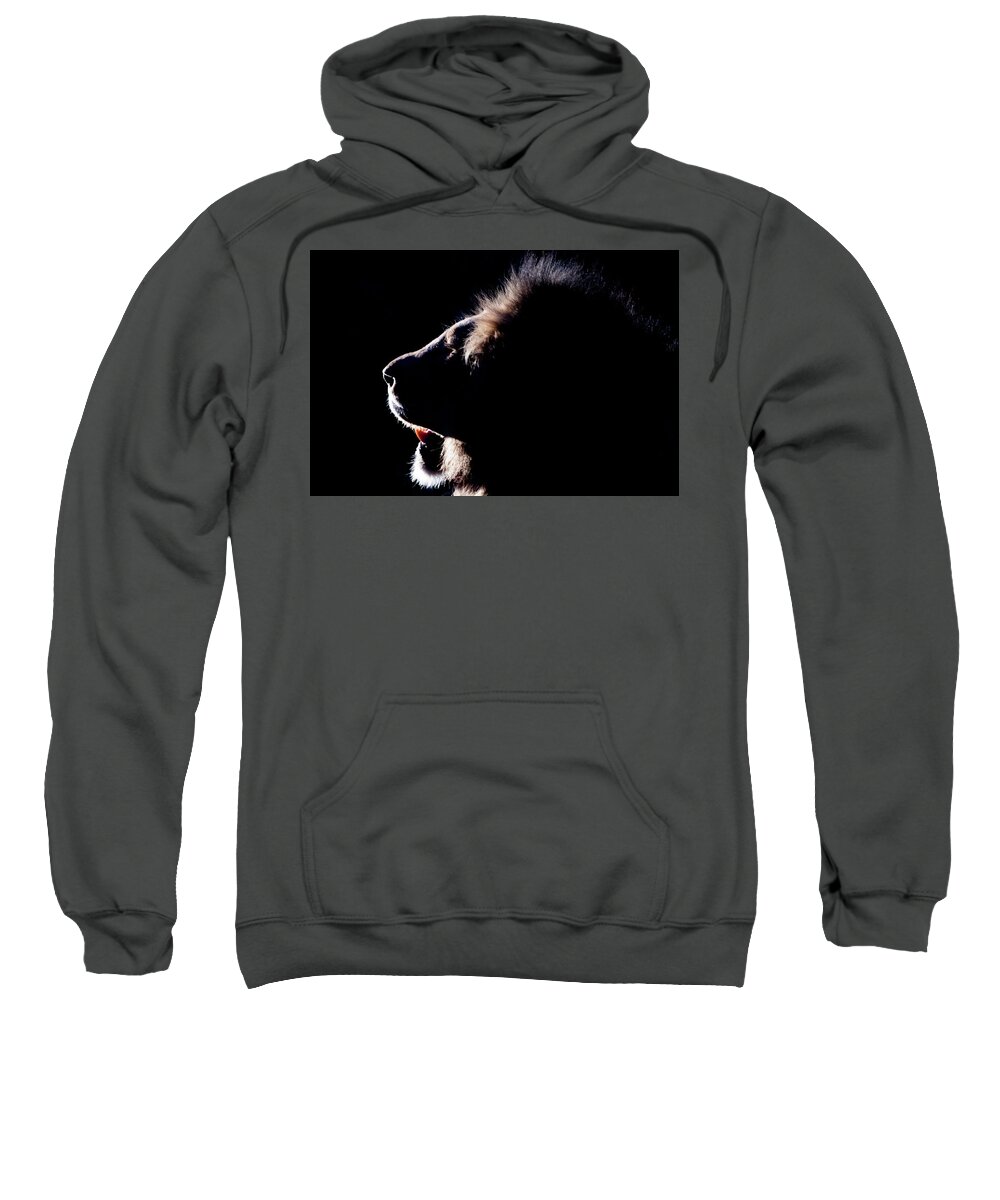 Lion Sweatshirt featuring the photograph Portrait of a backlit male african lion by Mark Hunter