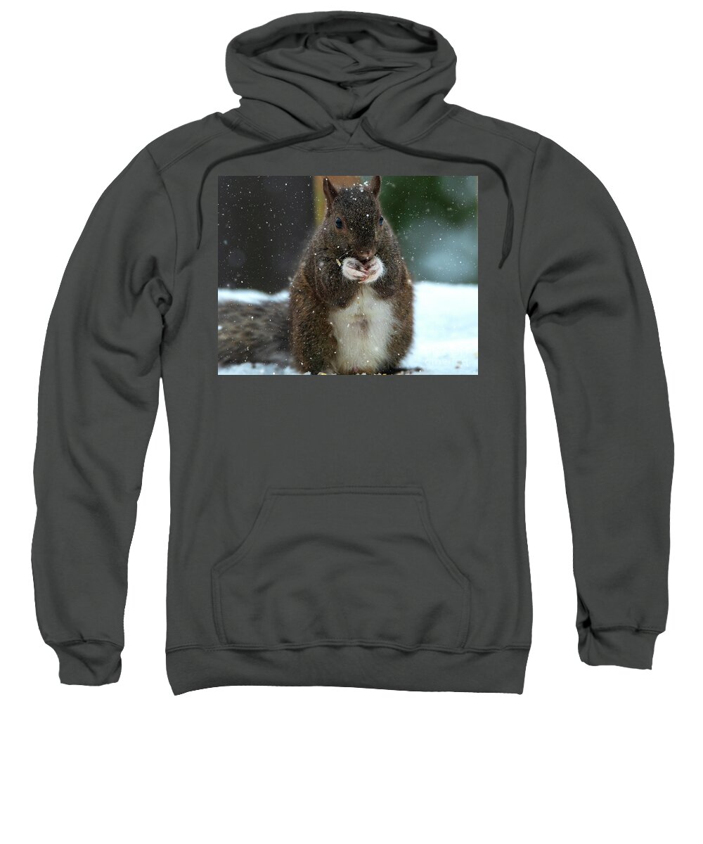 Animal Sweatshirt featuring the photograph Portrait of a Squirrel in Snow by Sandra J's
