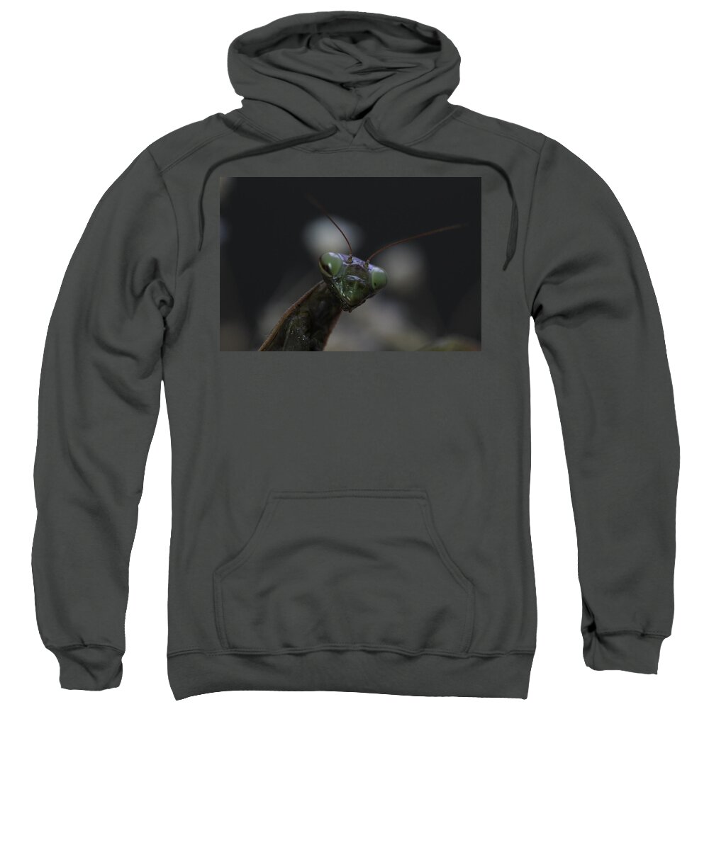 Mantis Sweatshirt featuring the photograph Praying mantis by Martin Smith