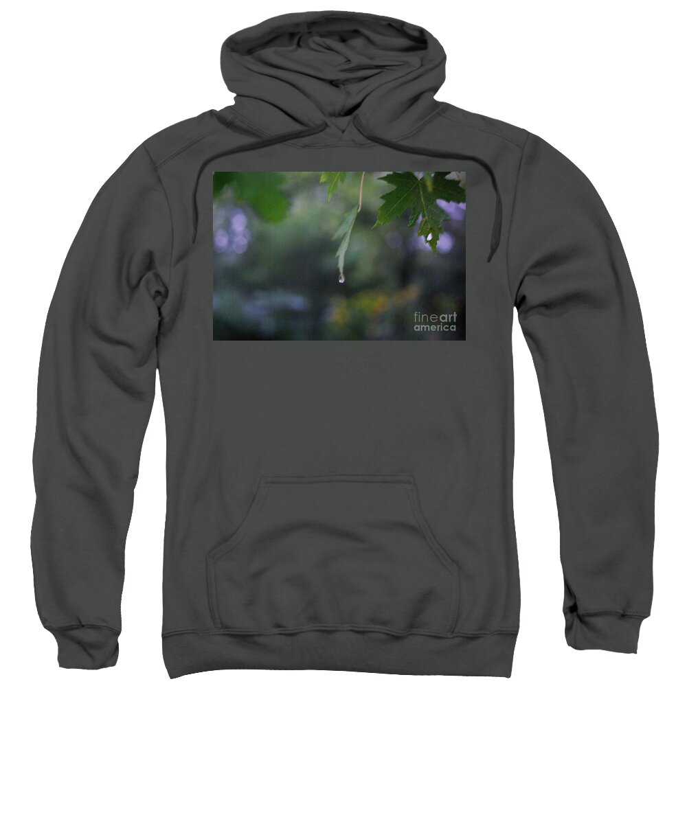 Nature Sweatshirt featuring the photograph Raining by Frank J Casella