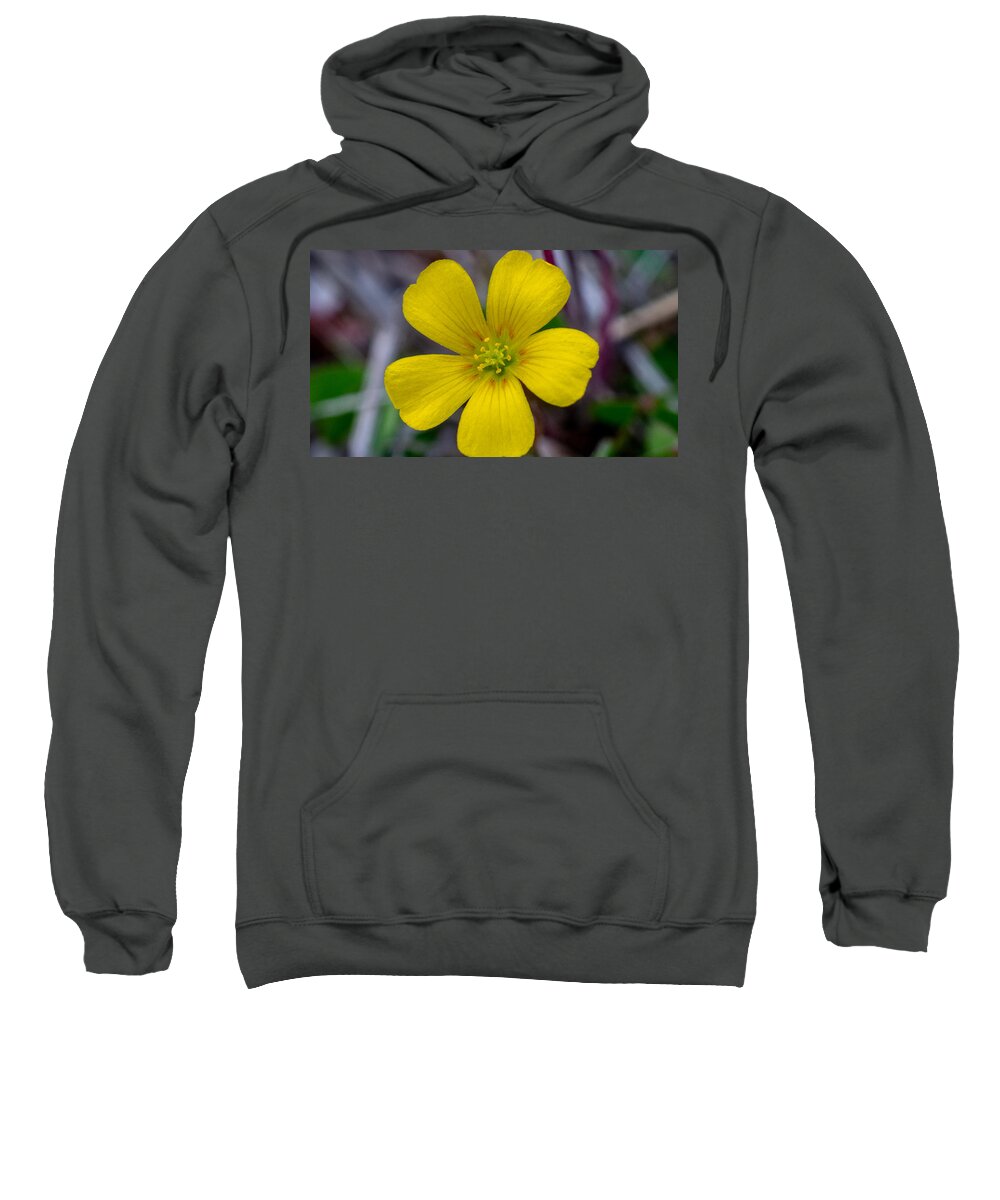 Flower Sweatshirt featuring the photograph Ready and Waiting by Ivars Vilums