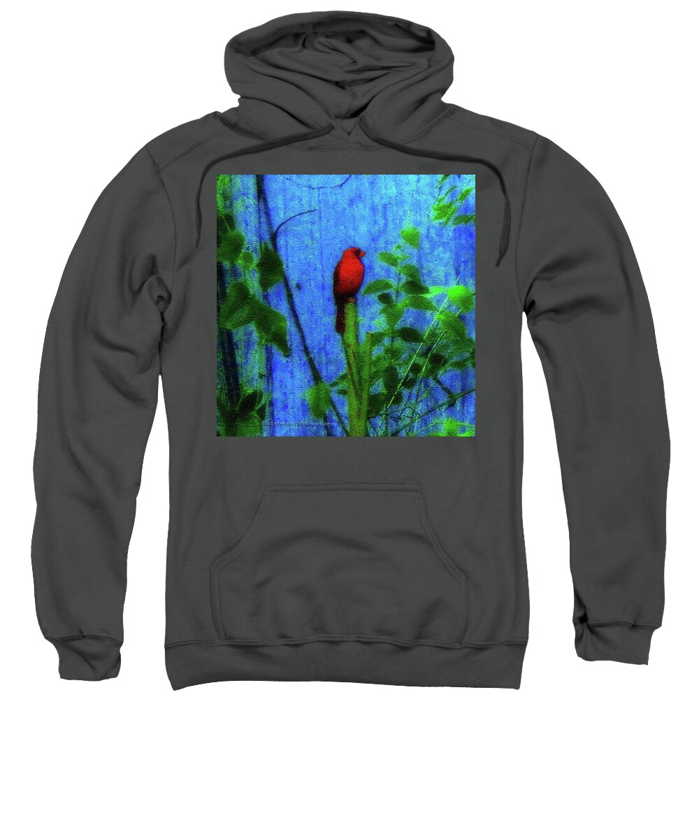 Earth Day Sweatshirt featuring the photograph Redbird Enjoying the Clarity of a Blue and Green Moment by Aberjhani