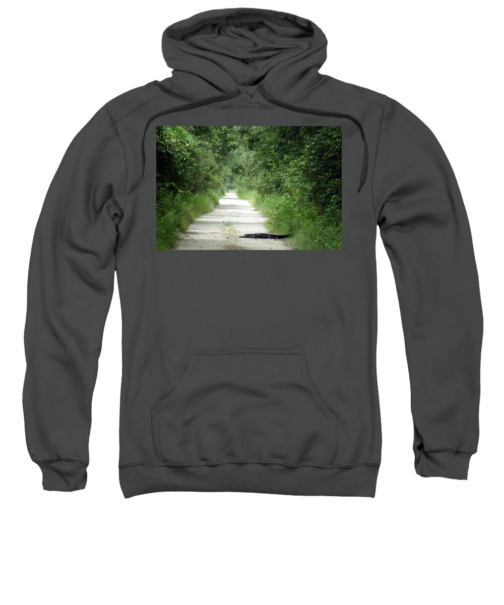 Florida Sweatshirt featuring the photograph Road Block by Lindsey Floyd