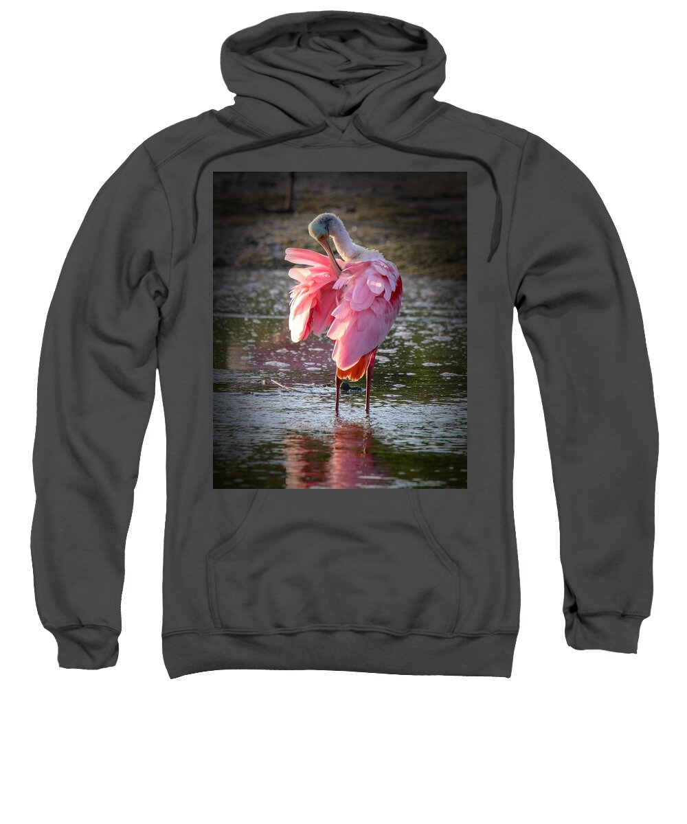 Tranquil Sweatshirt featuring the photograph Roseate Spoonbill by Susan Rydberg
