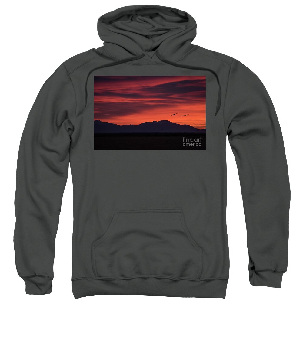 Sandhill Sweatshirt featuring the photograph Sandhill Cranes at Sunrise by Melissa Lipton