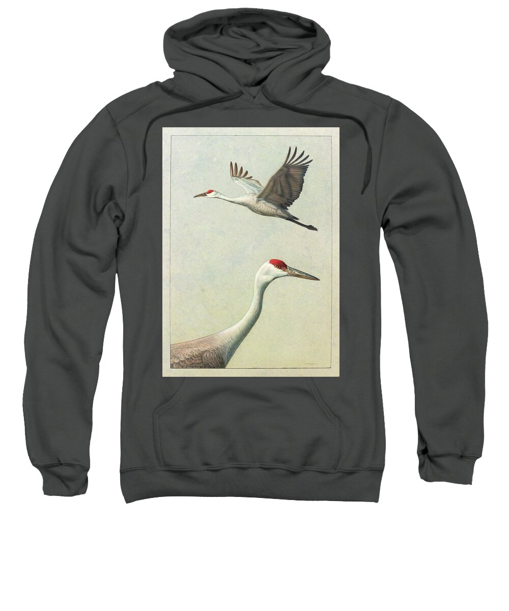 Crane Sweatshirt featuring the painting Sandhill Cranes by James W Johnson
