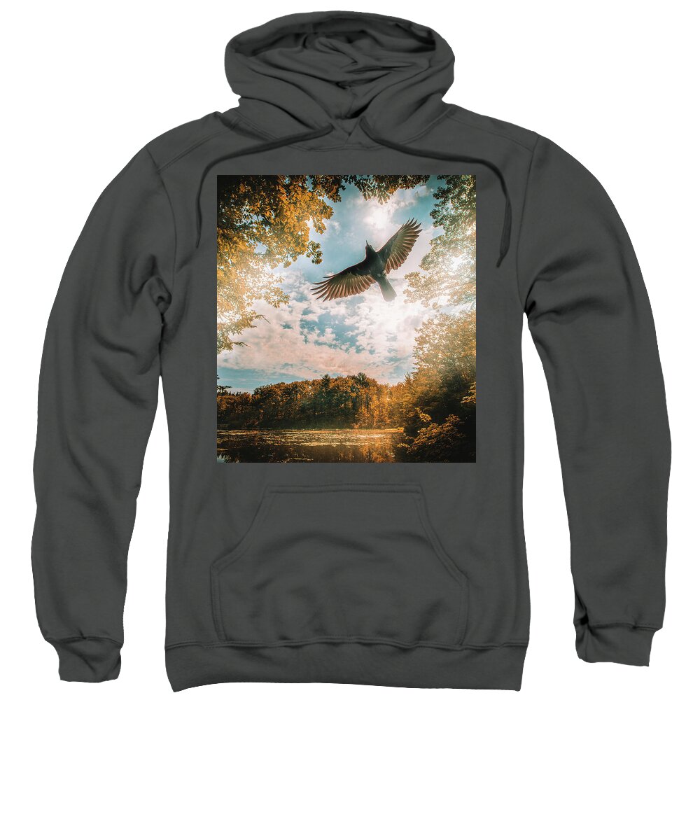 Landscape Sweatshirt featuring the photograph Season of change by Bob Orsillo