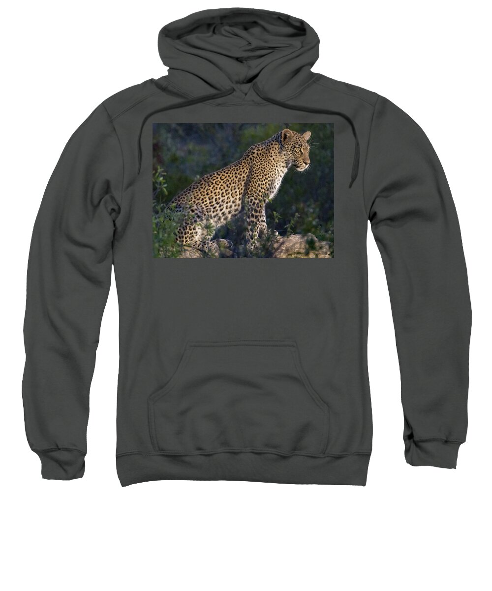 Leopard Sweatshirt featuring the photograph Sitting leopard by Mark Hunter