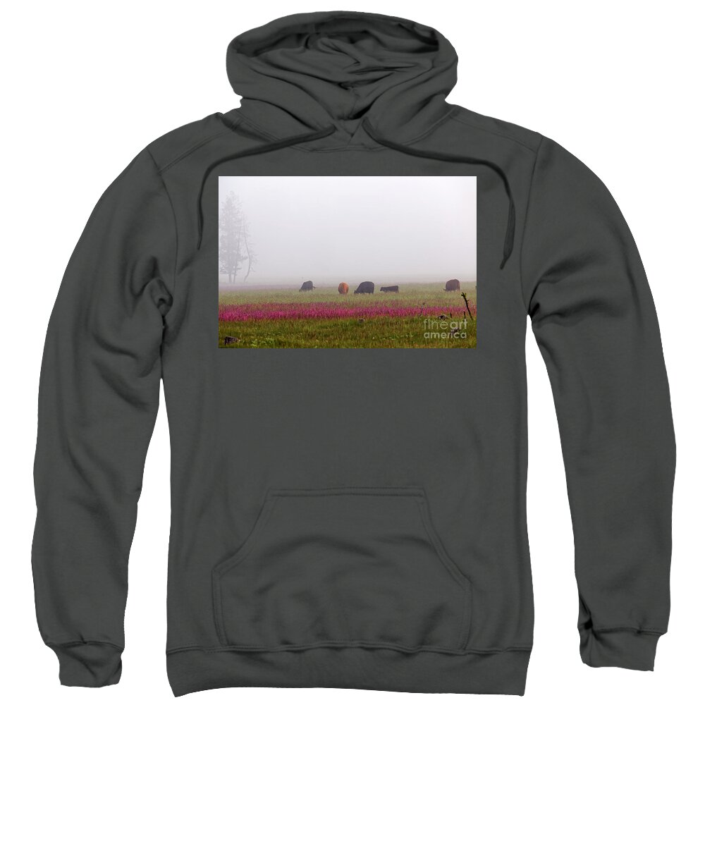 Spring Meadow Sweatshirt featuring the photograph Beef Cattle Grazing Foggy Flower Meadow by Robert C Paulson Jr