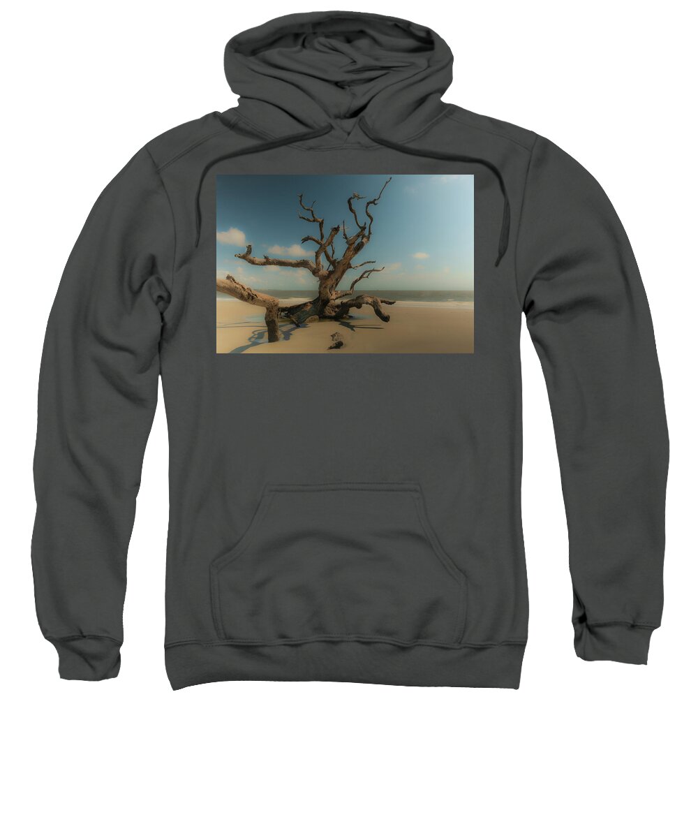 Driftwood Sweatshirt featuring the photograph Softly Weathered by Vicky Edgerly
