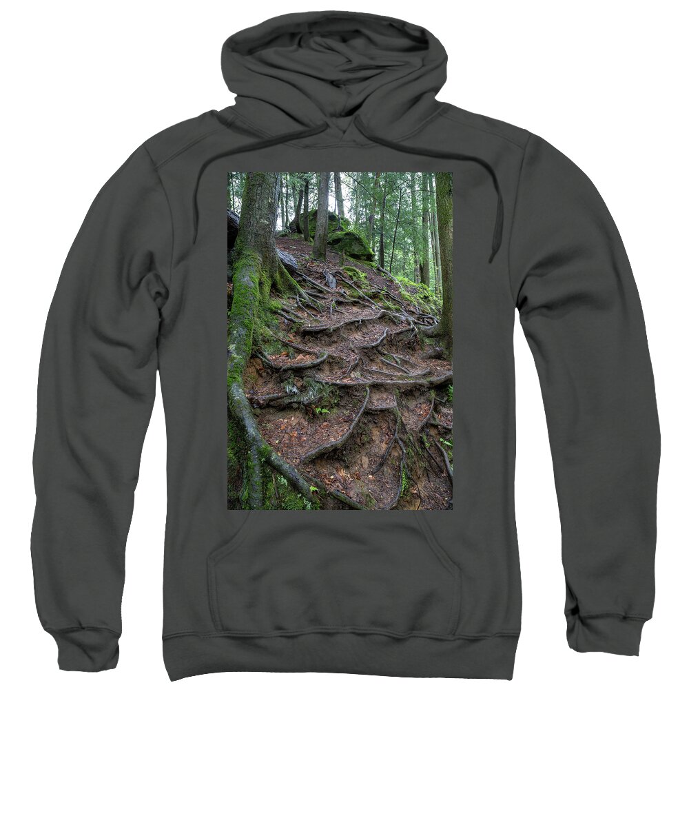 Tree Sweatshirt featuring the photograph Soil and Roots by Alan Raasch