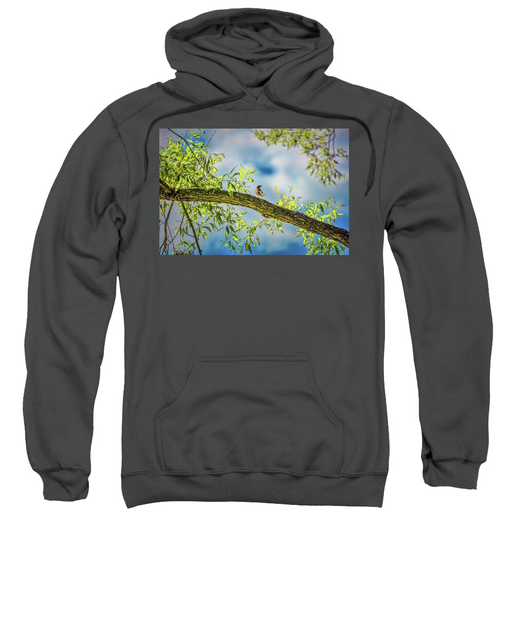 Someone Coming? Sweatshirt featuring the photograph Someone coming? #i2 by Leif Sohlman