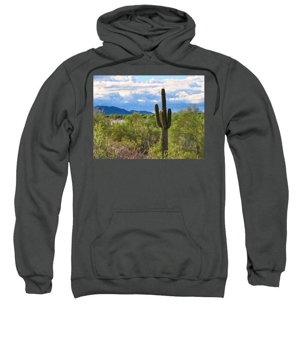 Arizona Sweatshirt featuring the photograph Sonoran Desert Landscape Post-Monsoon by Judy Kennedy