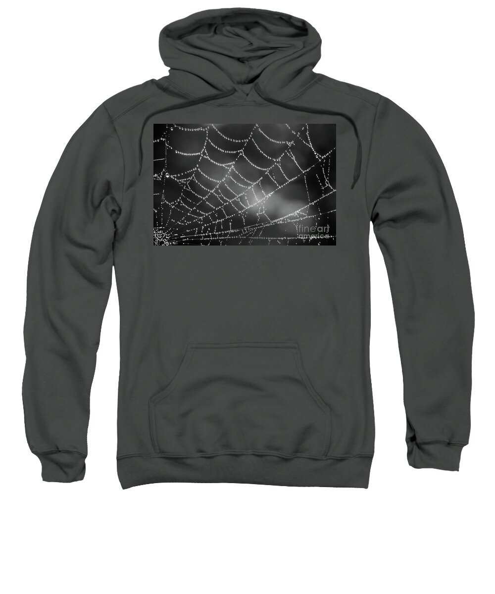 Spider Web Sweatshirt featuring the photograph Spider web black and white by Delphimages Photo Creations