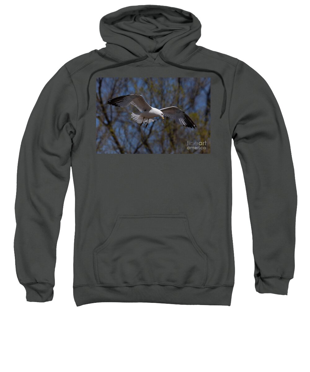 Photography Sweatshirt featuring the photograph Spotting Fish by Alma Danison