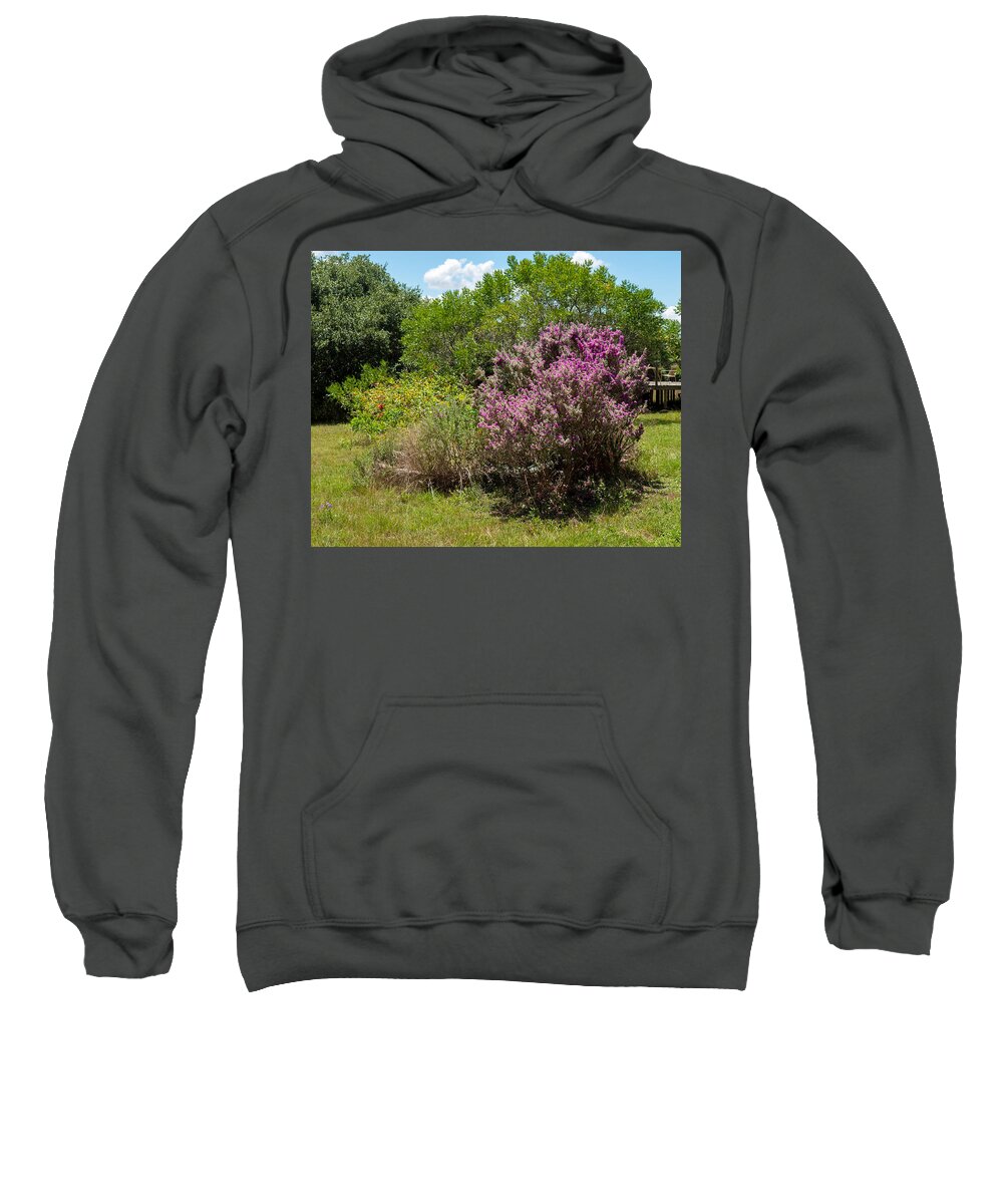 Flower Sweatshirt featuring the photograph Spring to Summer by Ivars Vilums
