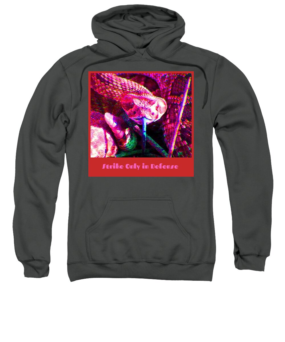 Snake Sweatshirt featuring the photograph Strike Only in Defense by Judy Kennedy
