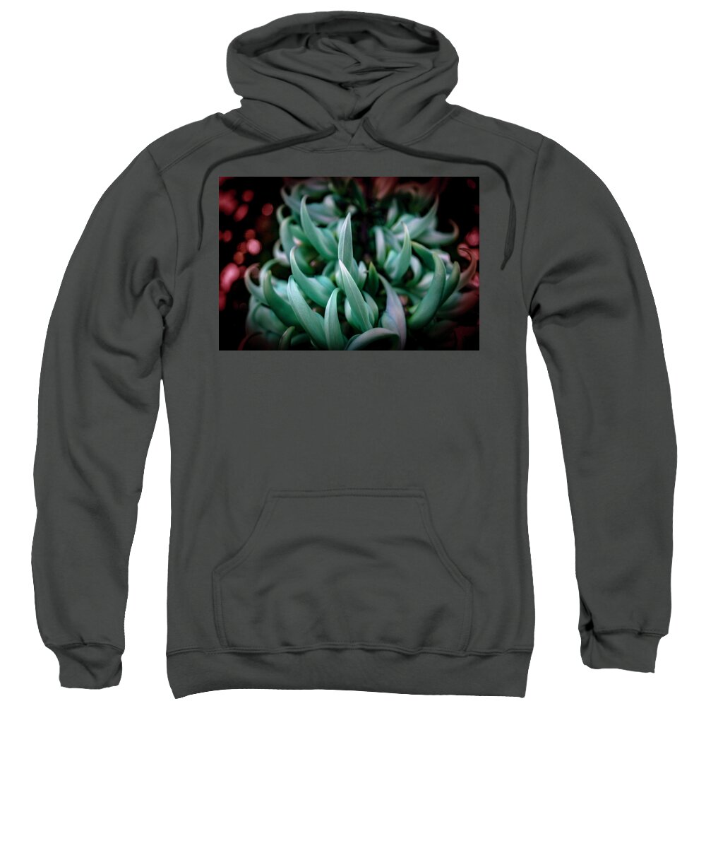Succulent Sweatshirt featuring the photograph Succulent III by Lily Malor