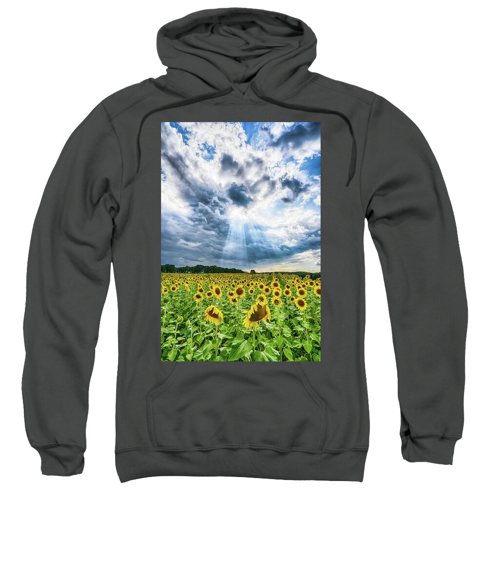 Sunflower Sweatshirt featuring the photograph Sunflower Field by Brad Bellisle