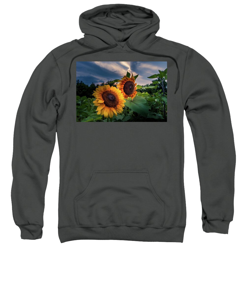 Sunflower Sweatshirt featuring the photograph Sunflowers in Evening by Allin Sorenson