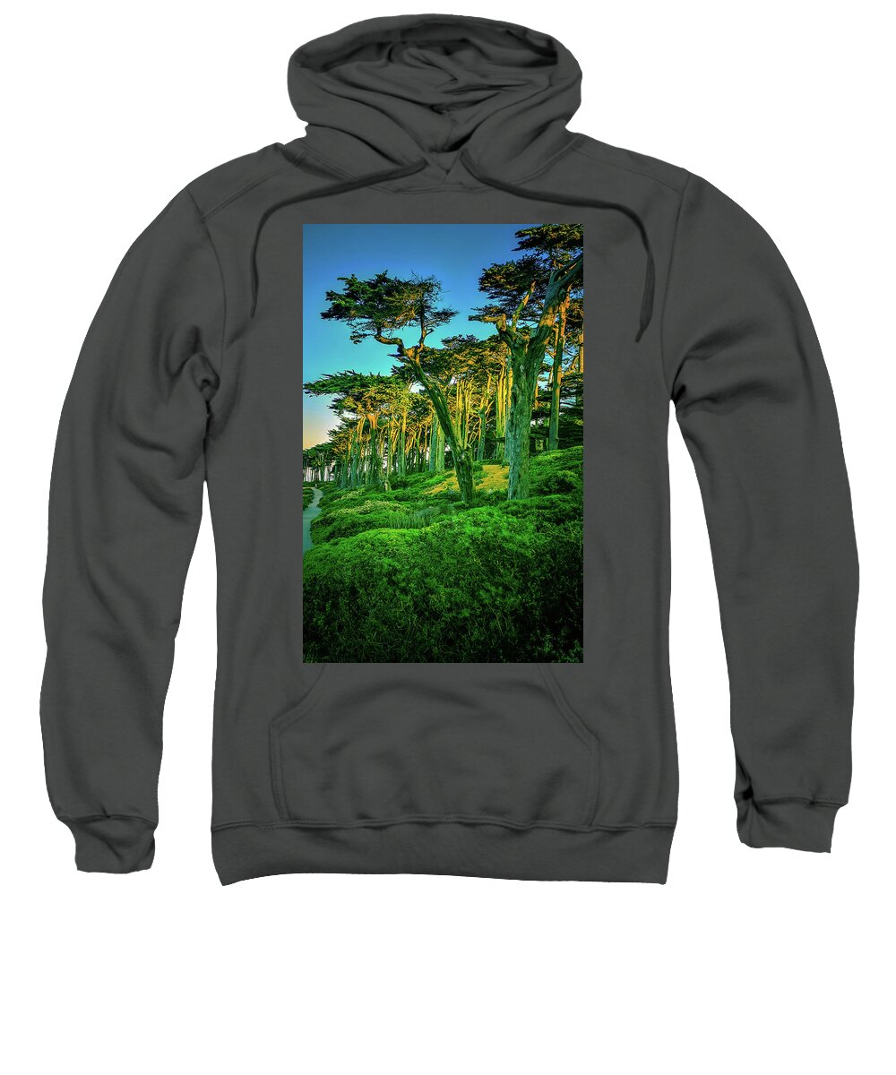 Sutro Sweatshirt featuring the photograph Sutro Trees in Morning Light by James Canning