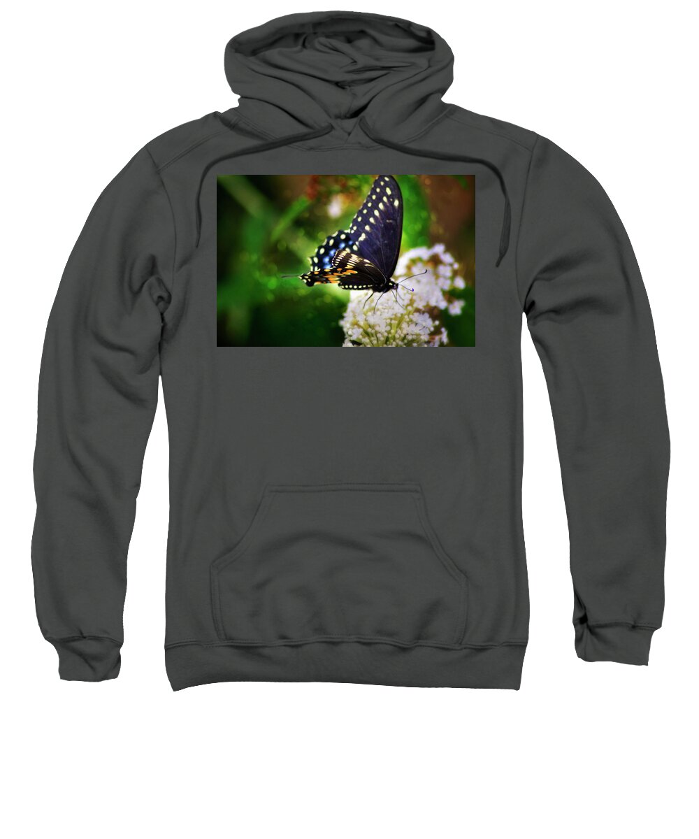 Butterfly Sweatshirt featuring the photograph Swallowtail Butterfly by Pheasant Run Gallery