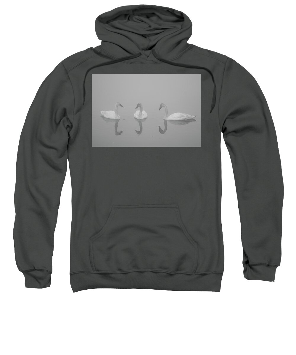 Swan Sweatshirt featuring the photograph Swan Reflections by Patrick Nowotny