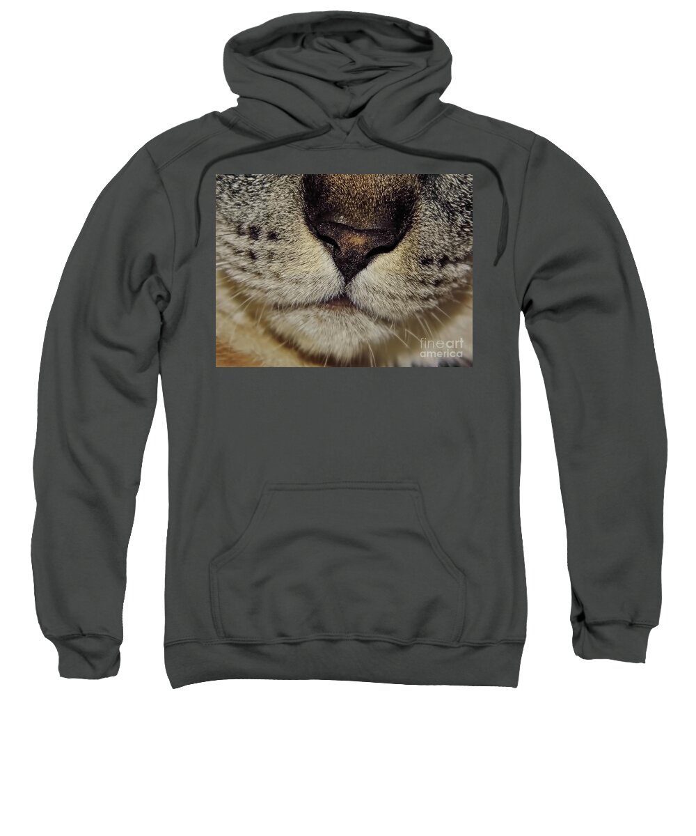 Nose Sweatshirt featuring the photograph The - Cat - Nose by D Hackett