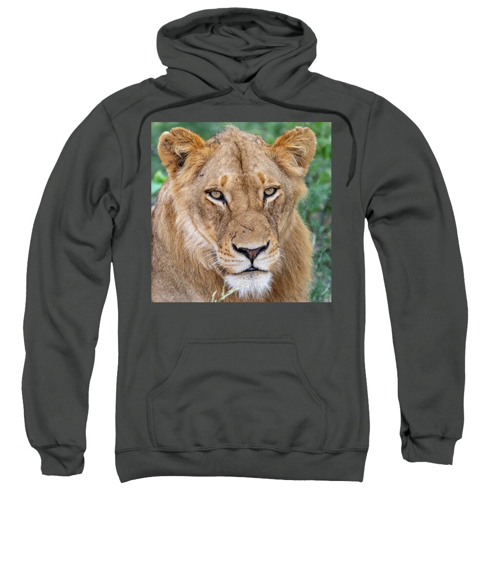 Lion Sweatshirt featuring the photograph The Face of Experience by Mark Hunter