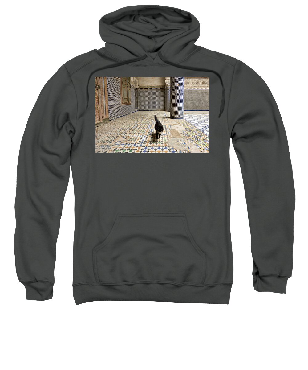 Cat Sweatshirt featuring the photograph The lord of the decaying palace in Fez by Yavor Mihaylov