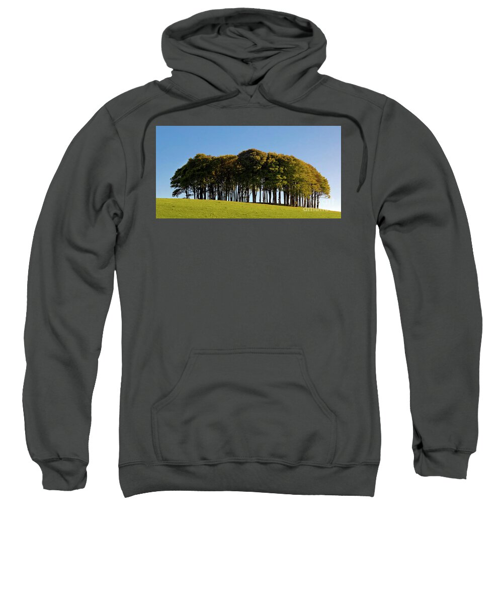 The Nearly Home Trees Sweatshirt featuring the photograph The Nearly Home Trees by Terri Waters