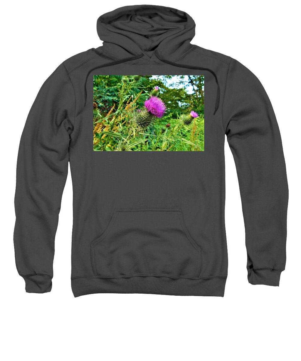 - Thistle Sweatshirt featuring the photograph - Thistle by THERESA Nye
