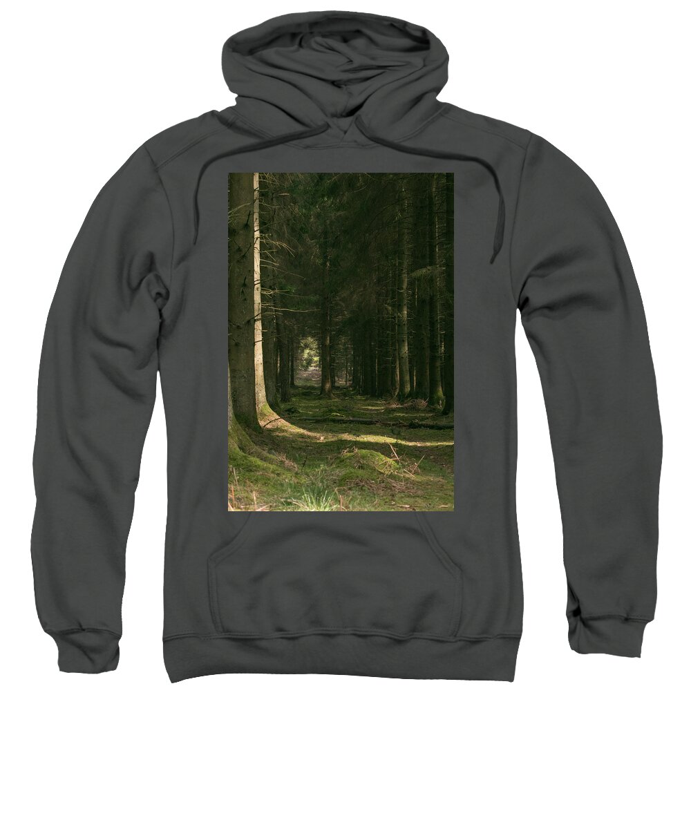 Wildlifephotograpy Sweatshirt featuring the photograph Through by Wendy Cooper