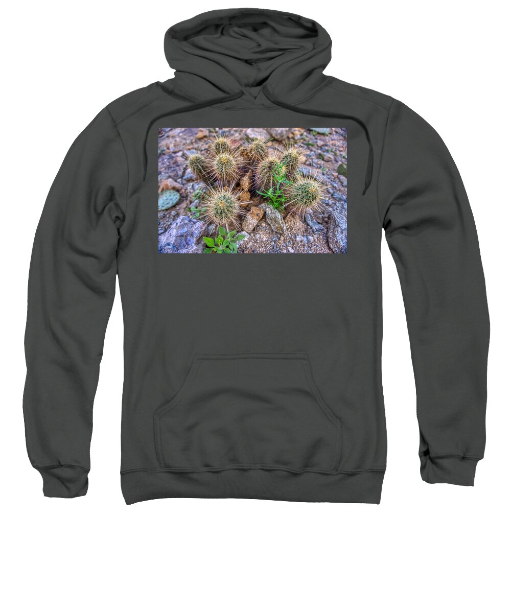 Sunsets Sweatshirt featuring the photograph Tiny Cactus by Anthony Giammarino