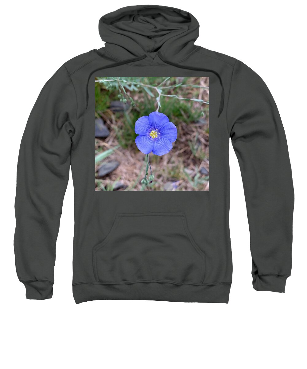 Tiny Sweatshirt featuring the photograph Tiny Flower by Brian Eberly