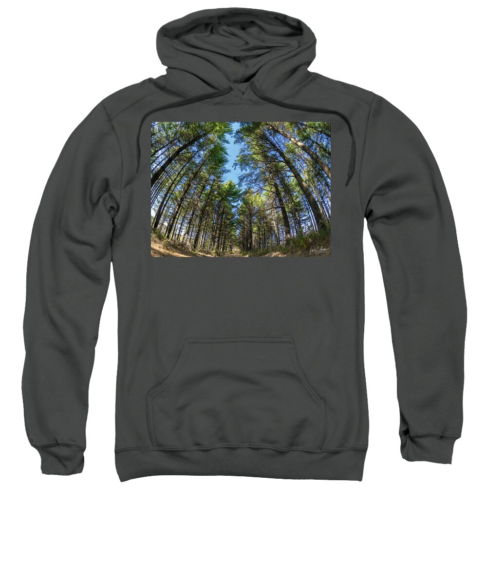 Trees Sweatshirt featuring the photograph To The Sky by Phil S Addis