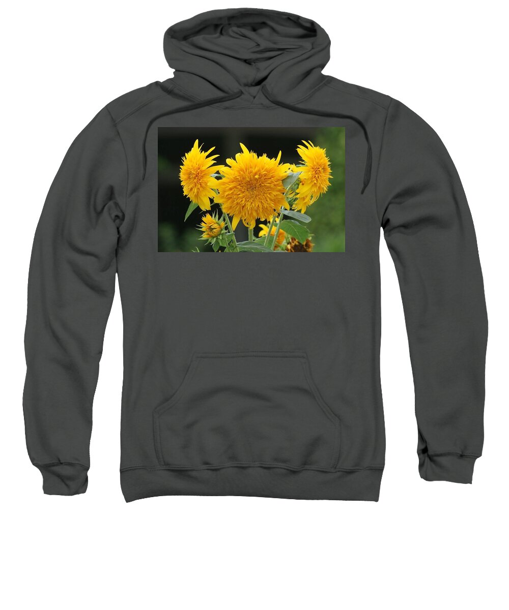 Florida Sweatshirt featuring the photograph Tri-Flora-Tops by Lindsey Floyd