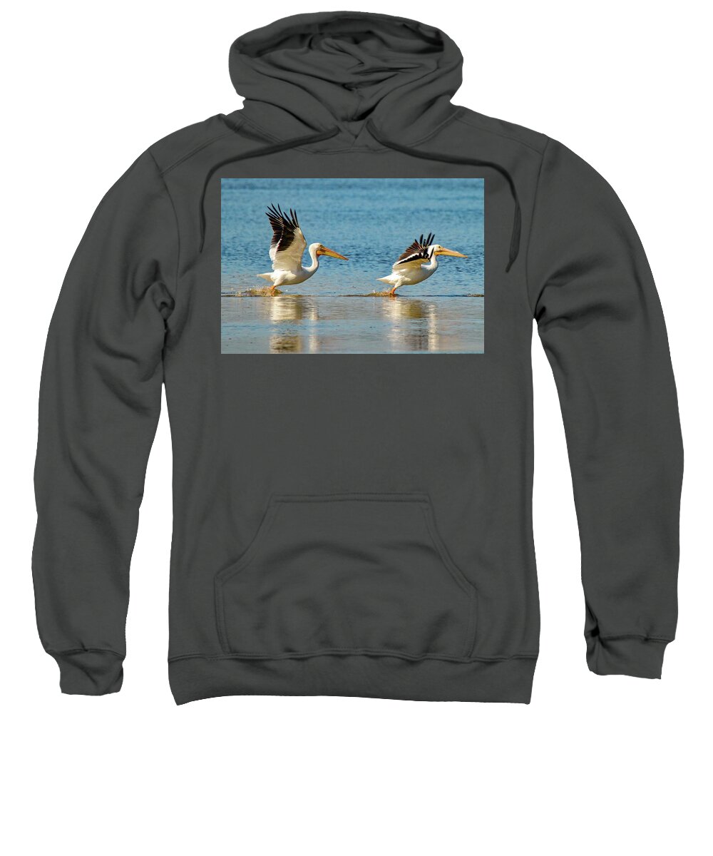 Bird Sweatshirt featuring the photograph Two Pelicans Taking Off by Susan Rydberg